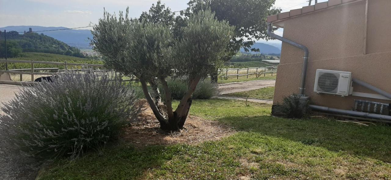 Le Pressoir Vila Mercurol-Veaunes Exterior foto